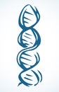 DNA icon sign. Vector drawing