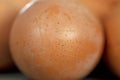 Closeup simple fresh brown egg. Economic crisis
