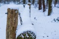 Closeup of a simple wooden barricade beam in a forest landscape during winter season, obstruct bar covered in a layer of snow