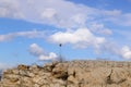 Closeup of a single dried weed on a rough rock wall outlined against a blue sky with clouds Royalty Free Stock Photo