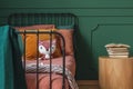 Closeup of single metal bed with orange bedding and fox toy