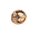 Closeup of a single opened walnut half in shell isolated on a white background Royalty Free Stock Photo