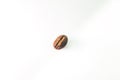 Closeup of a single roasted coffee bean, isolated on a white background Royalty Free Stock Photo
