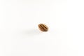 Closeup of a single roasted coffee bean, isolated on a white background Royalty Free Stock Photo