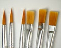 Closeup of six brushes of different shapes on white background