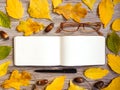 Closeup of sketchbook, glasses and pen, decorated with autumn yellow leaves and acorns. Top view, flat lay
