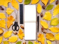 Closeup of sketchbook, ruler, scissors and pen, decorated with autumn yellow leaves and acorns. Top view, flat lay