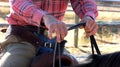 Equitation: horseman holding horse reins