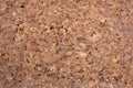 Closeup of slice of brown rye bread Royalty Free Stock Photo