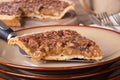 Slice of Pecan Pie Royalty Free Stock Photo