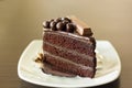 Closeup slice piece of dark chocolate cake Royalty Free Stock Photo