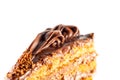 Closeup of slice of tasty chocolate cake
