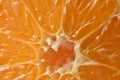 Closeup of sliced oranges Royalty Free Stock Photo