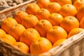 Closeup of sliced oranges Royalty Free Stock Photo