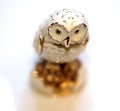 Closeup of a small ceramic white and golden owl statue isolated on a white background Royalty Free Stock Photo