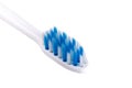 Closeup of small head toothbrush with soft slim tapered bristle