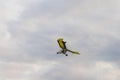 Closeup of a Small light aircraft flying in a cloudy sky