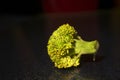 Closeup of small piece of broccoli on black