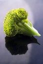Closeup of a small piece of broccoli on blue
