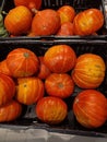 a closeup of small pumpkins lying in plastic tubs in the market