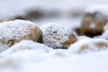 Closeup of the small rocks covered with snow. Royalty Free Stock Photo