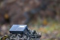 Closeup small travel radio lie on tree trunk in forest