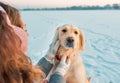 Closeup smile portrait of white retriever dog in winter river background Royalty Free Stock Photo