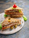 Closeup of a smoked beef sandwich and green salad on a round cutting board. Traditional breakfast or lunch. Vertical shot