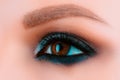 Closeup smoky makeup eye dark eyelids. Female eyes with beautiful bright fashion style.