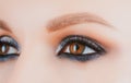 Closeup smoky makeup eye dark eyelids. Female eyes with beautiful bright fashion style.