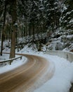 Closeup of a smooth road in the winter forest Royalty Free Stock Photo