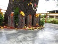 Closeup of Snake Statue in stone or Nagara Kallu in a Temple under the Pipal Tree doing puja during festival