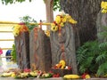 Closeup of Snake Statue in stone or Nagara Kallu in a Temple under the Pipal Tree doing puja during festival