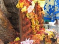 Closeup of Snake Statue in stone or Nagara Kallu in a Temple under the Pipal Tree doing puja during festival