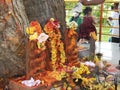 Closeup of Snake Statue in stone or Nagara Kallu in a Temple under the Pipal Tree doing puja during festival