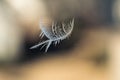 Closeup of a snowflake frozen on a blurry window