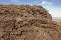 Closeup of sod hut sods