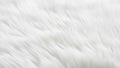 Closeup of soft white fur texture with natural lighting and smooth waves Royalty Free Stock Photo