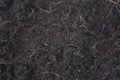 Closeup Soil nature texture in garden