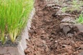 closeup soil ploughed field