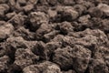 Closeup Soil texture brown background. Soil is a mixture of organic matter, minerals, gases, liquids, and organisms. it is