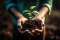 closeup of soil with a young green plant in female hands Royalty Free Stock Photo