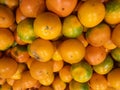 Closeup of Solanum quitoense, known as Naranjilla. Royalty Free Stock Photo