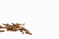 Closeup of some aromatic cloves isolated on a white background Royalty Free Stock Photo