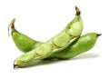 Closeup of some broad bean pods with the beans inside