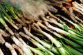 Barbecuing calcots, onions typical of Catalonia Royalty Free Stock Photo