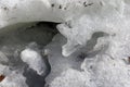 A closeup of some dirty ice on top of frozen sea