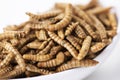 Edible fried worms Royalty Free Stock Photo