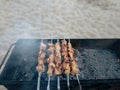 Closeup of some grilled meat skewers in a barbecue standing on the sand by the sea