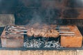 closeup of some meat skewers being grilled in a barbecue. Royalty Free Stock Photo